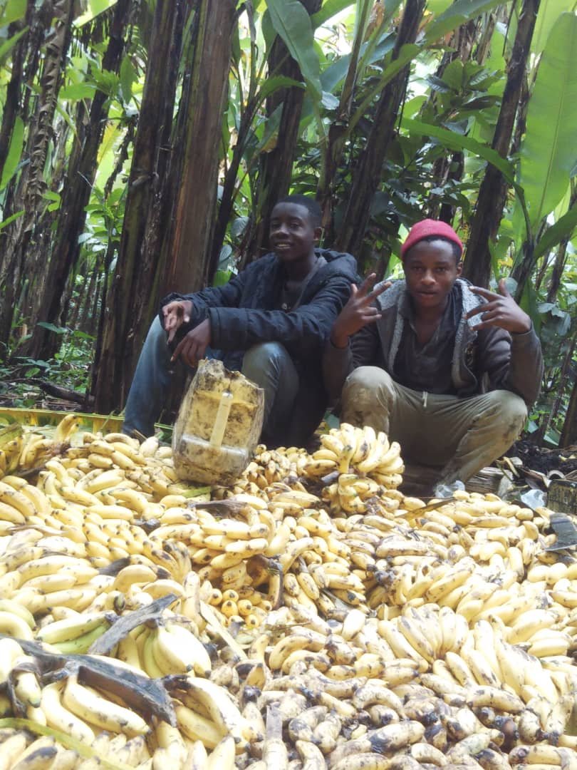 Youth in DRC